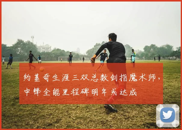 约基奇生涯三双总数剑指魔术师，中锋全能里程碑明年或达成